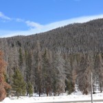 MPB in RMNP