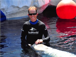 Seth Beluga Whale Encounter SeaWorld